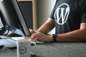 strona wordpress